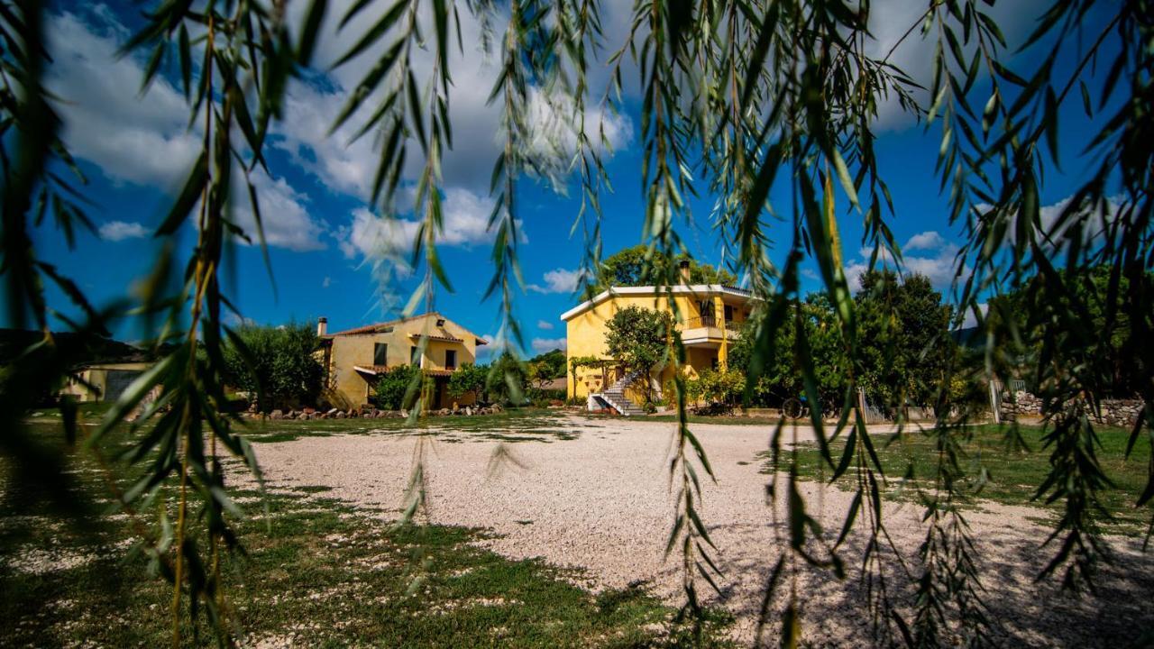 Agriturismo Carrucana Martis Εξωτερικό φωτογραφία